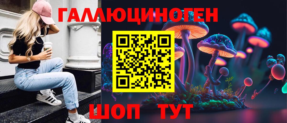 Азнакаево  Псилоцибиновые грибы Psilocybe  Вход с VPN 